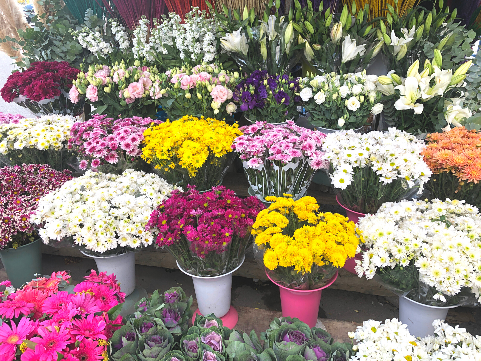 Colourful flowers